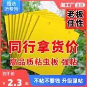 黄板双面粘虫板蓟马纸贴黄蓝飞虫小黑飞果蝇诱捕器诱虫板农用大棚