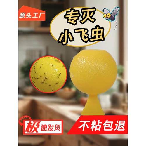 果蝇诱捕器小飞虫灭杀神器室内去除飞虫克星厨房蠓虫诱苍蝇粘虫球