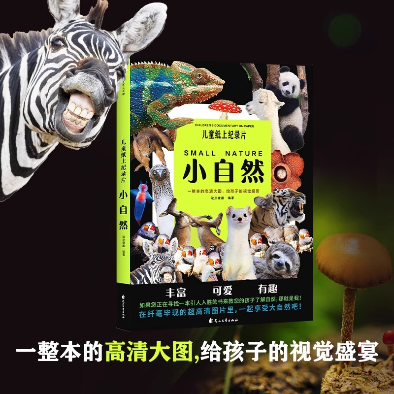 正版 儿童纸上纪录片小自然 20个充满童趣的自然主题230+张高清照片给孩子视觉盛宴小学生少儿科普绘本百科全书课外读物绘本漫画