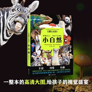 正版 20個充滿童趣 自然主題230 張高清照片給孩子視覺盛宴小學生少兒科普繪本百科全書課外讀物繪本漫畫 兒童紙上紀錄片小自然