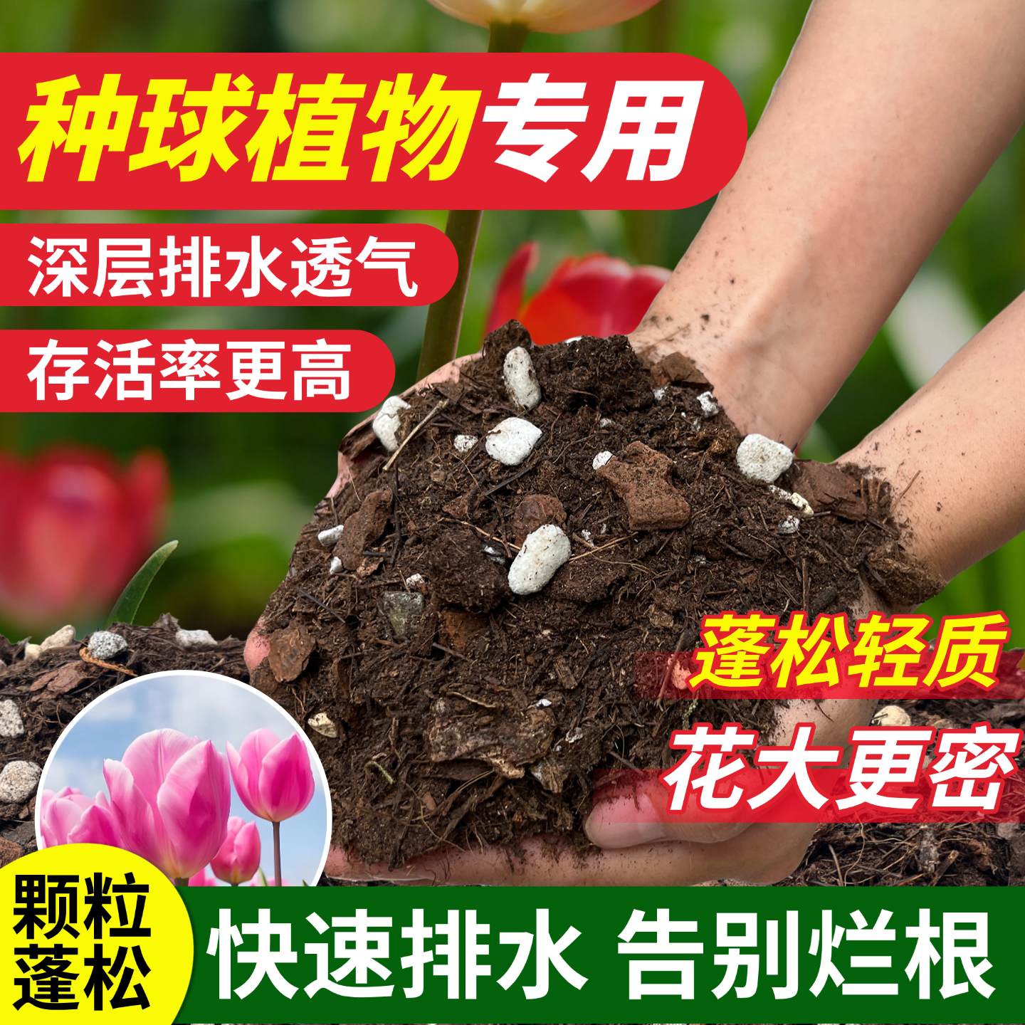 花大师种球营养土球根土蓬松透气