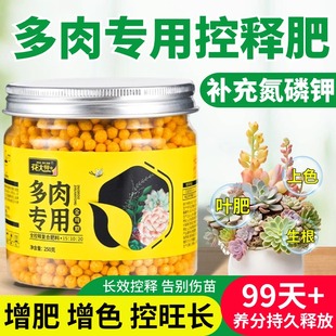 多肉肥料专用肥控释肥缓释肥植物盆栽颗粒肥营养生根增色通用家用