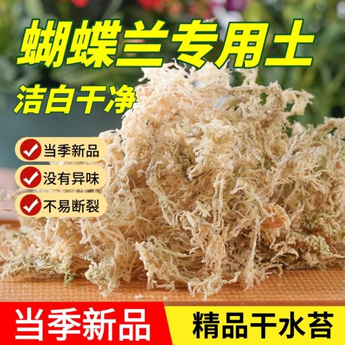 特级长绒水苔中粗耐用无杂质过筛