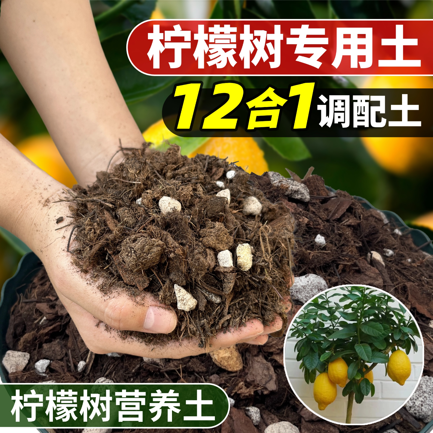 正品花大师店铺评价过万极速发货图片