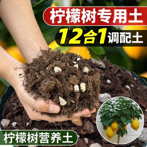 正品花大师店铺评价过万极速发货