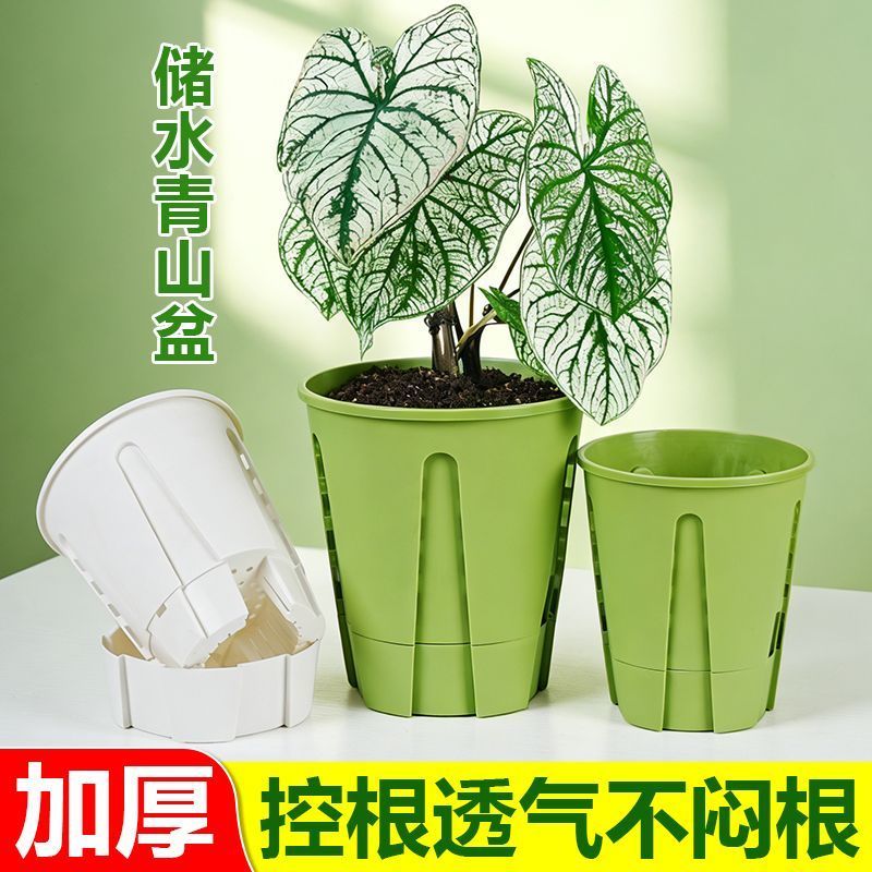 储水青山盆懒人专用塑料自吸水花盆加厚四代客厅龟背竹水培树脂盆图片