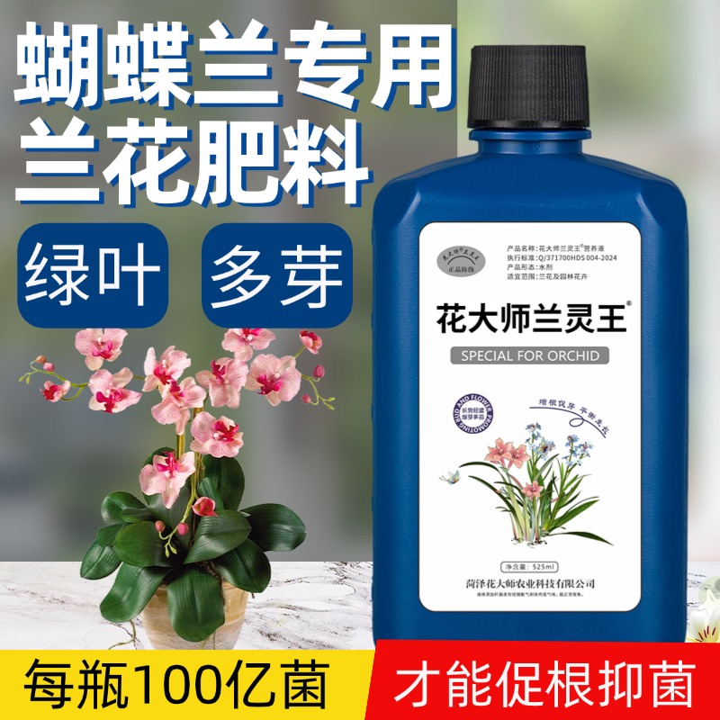 官方正品兰花营养多箭催花防黄叶