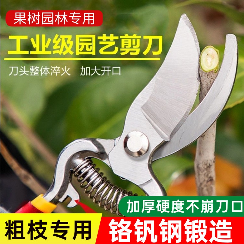 园艺剪刀强力果枝剪刀修剪花枝绿化竹子粗支家用长柄枝条剪园林剪