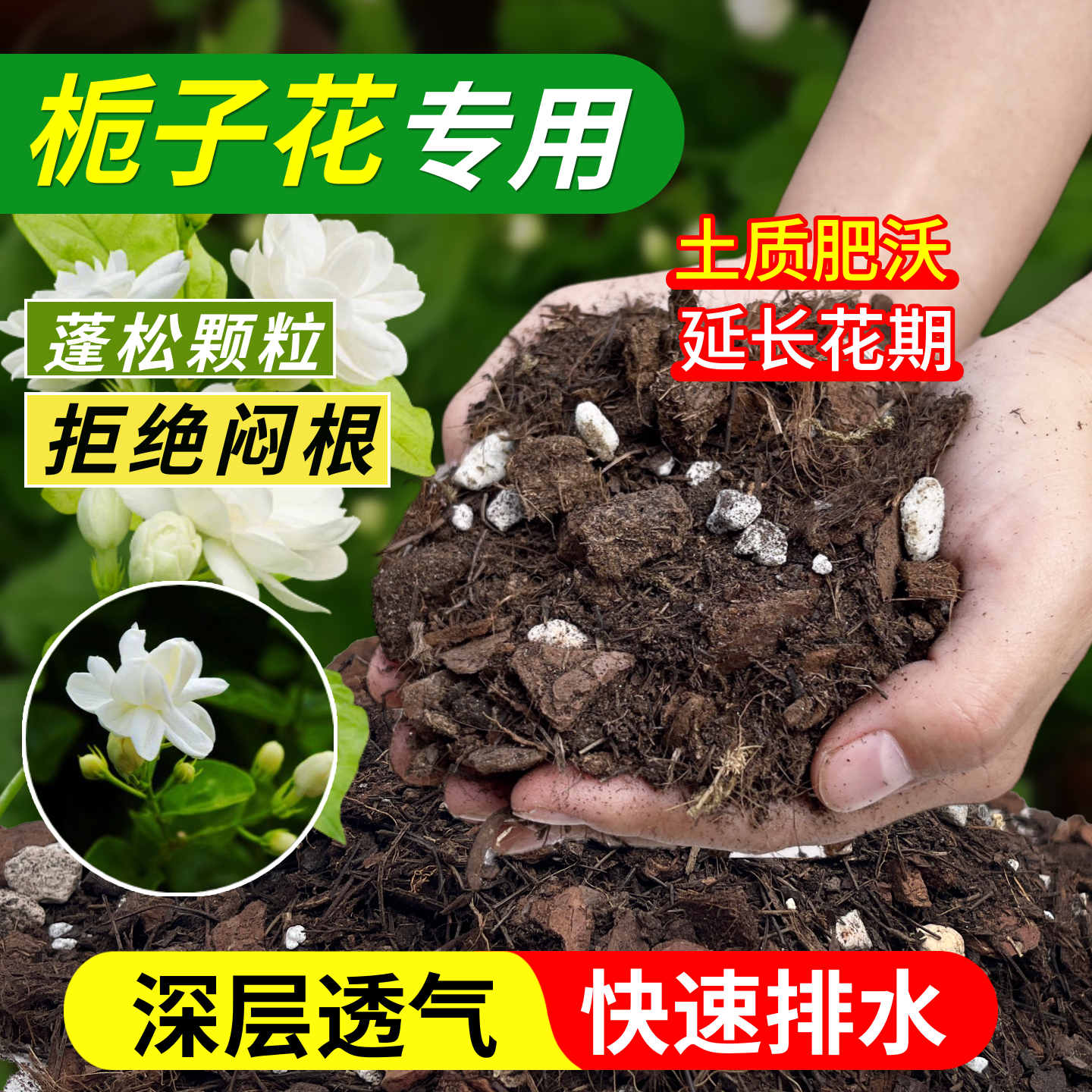 栀子花专用土营养土盆栽树苗老桩大树种植土壤独杆法莲海岛栀子花