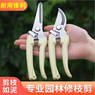 剪刀修枝剪果树修枝剪刀园艺园林花剪花枝工艺剪绿植花卉剪枝通用