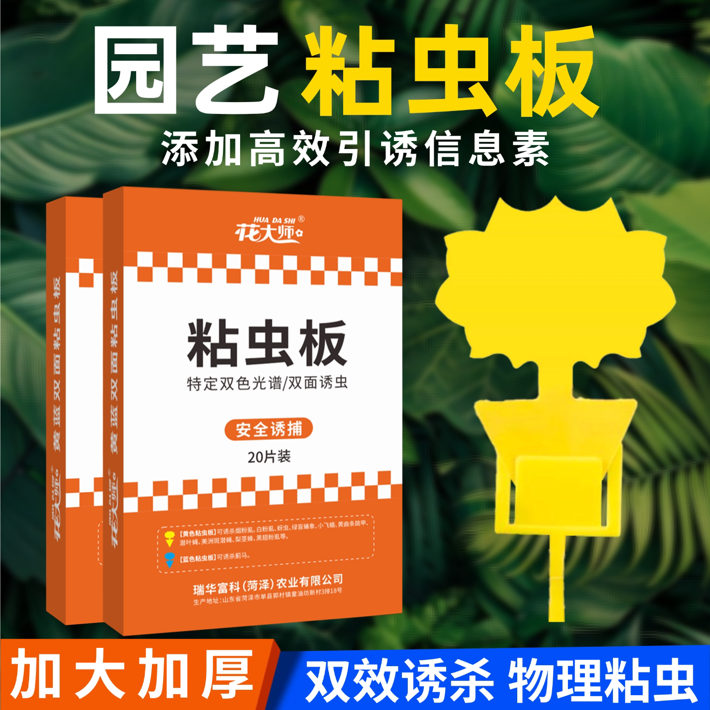 家用粘虫板黄板双面园艺专用飞虫小黑飞蚜虫红蜘蛛果蝇诱捕诱虫板