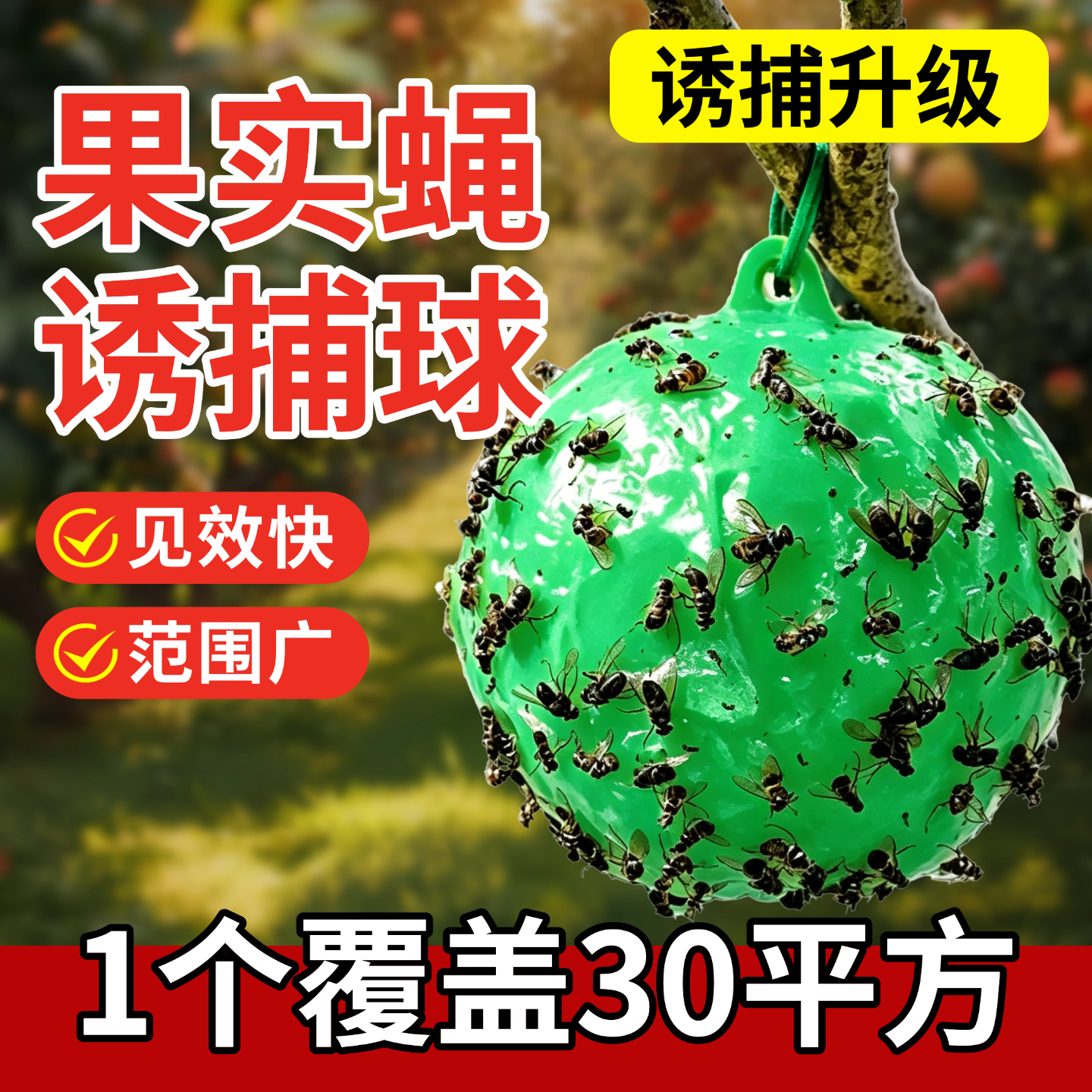 针蜂粘虫球诱捕球果实蝇诱粘球丝瓜诱蝇球针蜂诱剂神器果蝇诱捕器