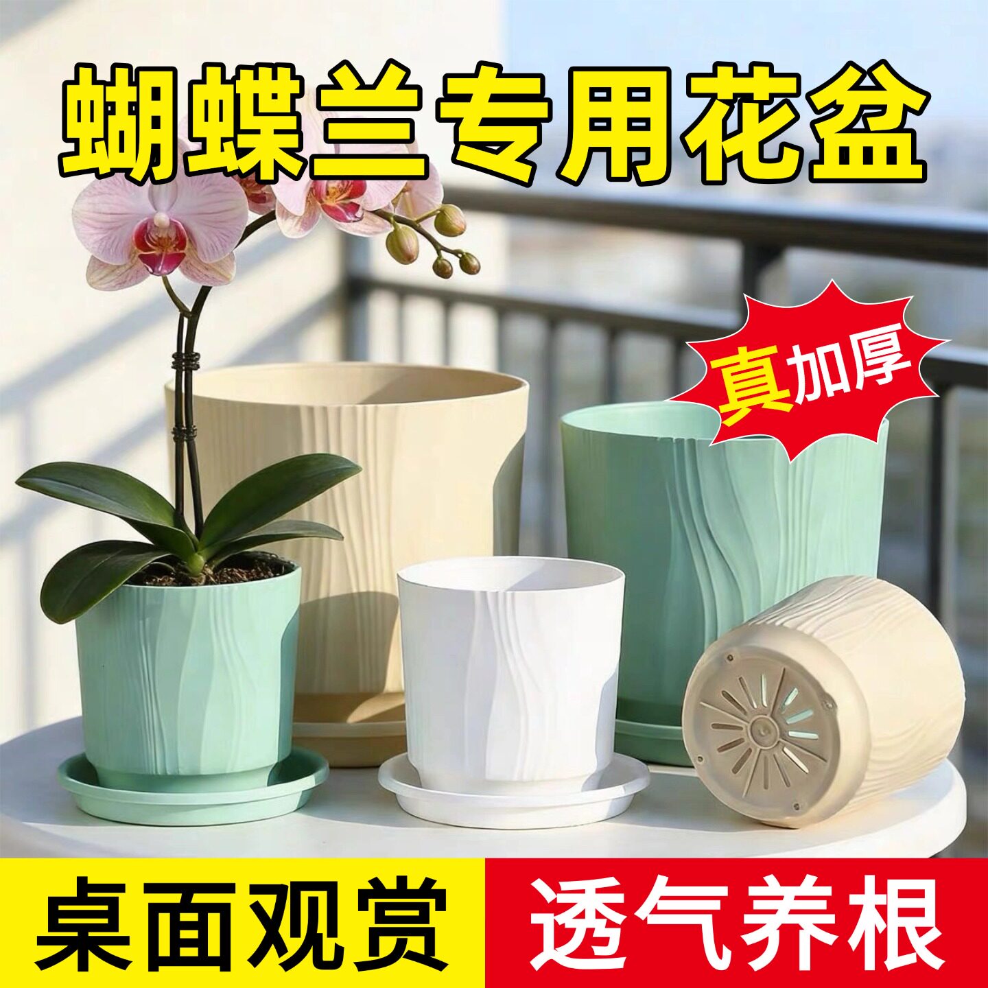 新款蝴蝶兰专用花盆塑料桌面观赏种植盆简约家用带托盘
