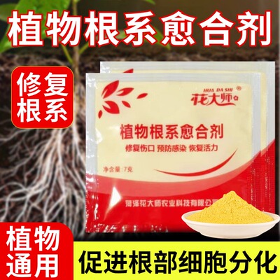 强力生根愈合伤口扦插育苗专用药