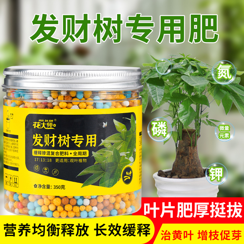 发财树肥料专用肥缓释营养肥花肥盆栽家用通用型氮磷钾绿植幸福树 鲜花速递/花卉仿真/绿植园艺 家庭园艺肥料 原图主图