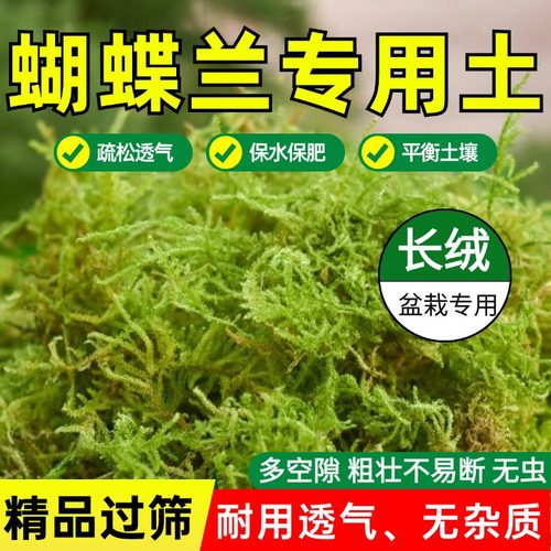 蝴蝶兰专用土水苔长绒青苔藓透气