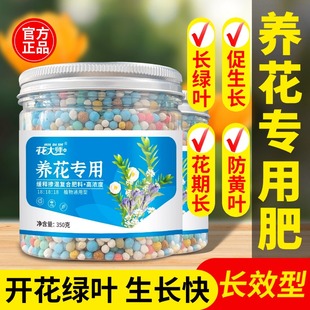 缓释肥花肥家用盆栽通用型氮磷钾复合肥料植物养花专用肥花卉绿植