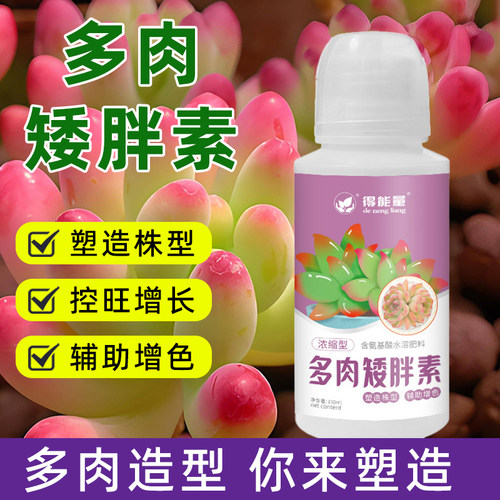 多肉矮胖素矮壮素植物通用型营养液室内盆栽绿植专用增色花卉肥料