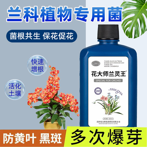 官方正品兰花营养多箭催花防黄叶
