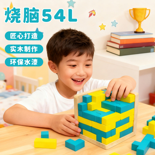 鲁班锁54TL积木玩具男孩益智地狱十级以上魔斗智力高难度烧脑迷宫