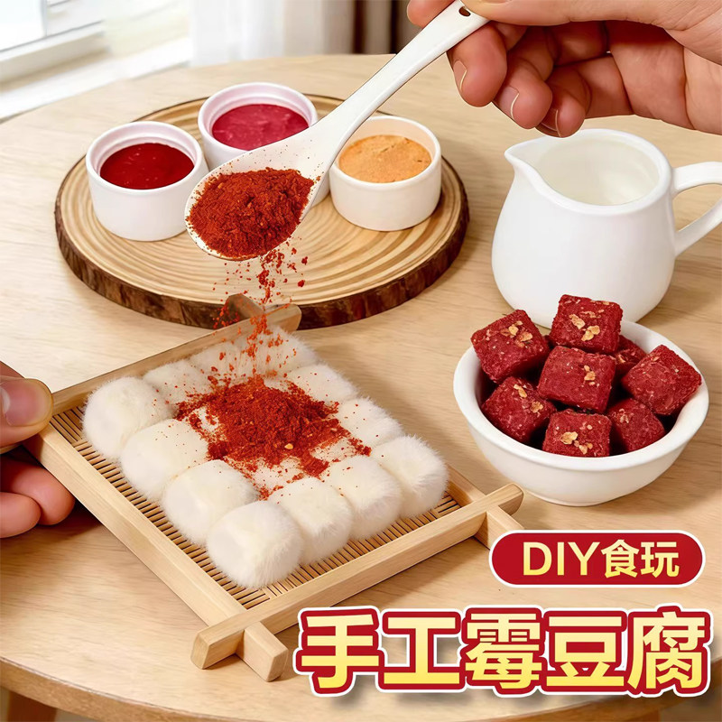 霉豆腐玩具创意手工diy材料包仿真食物套装模拟摆摊亲子互动游戏3