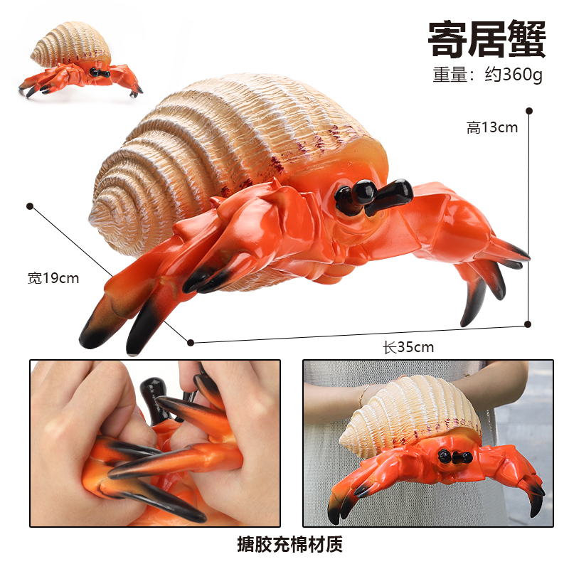 软胶海洋馆野生动物玩具仿真海星沧龙模型河豚摆件男孩子生日礼物