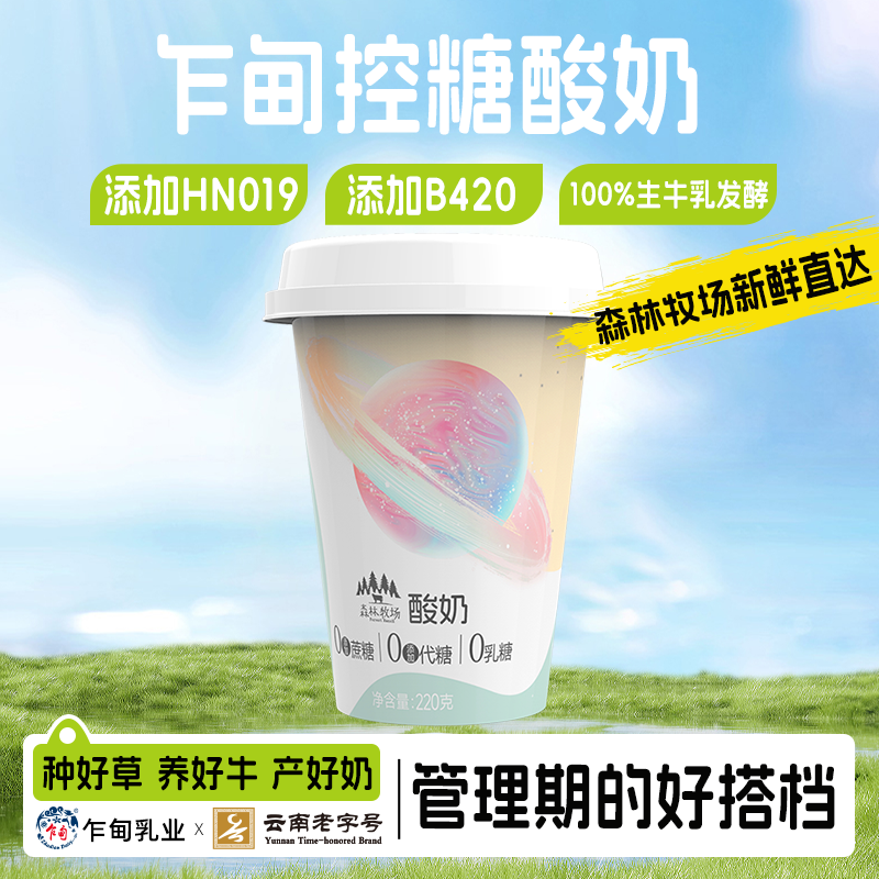 乍甸云南森林牧场控糖酸奶健身友好220g*8杯学生营养早餐酸奶