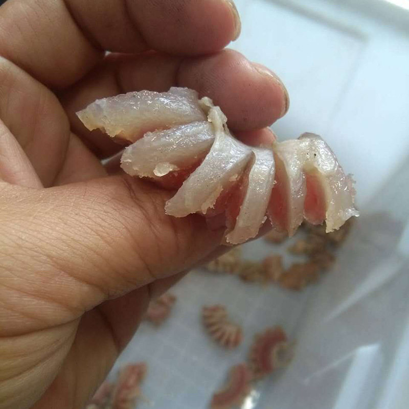 厂家定制全自动牛鞭花切花机 不锈钢输送带式双条切牛鞭花机