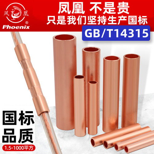 凤凰gt连接管国标加厚紫铜电线