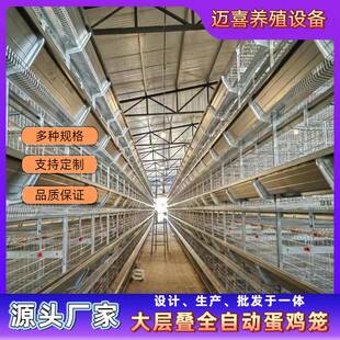 大层叠蛋鸡笼热镀锌鸡笼养鸡场专业养鸡设备自动化养鸡自动喂料