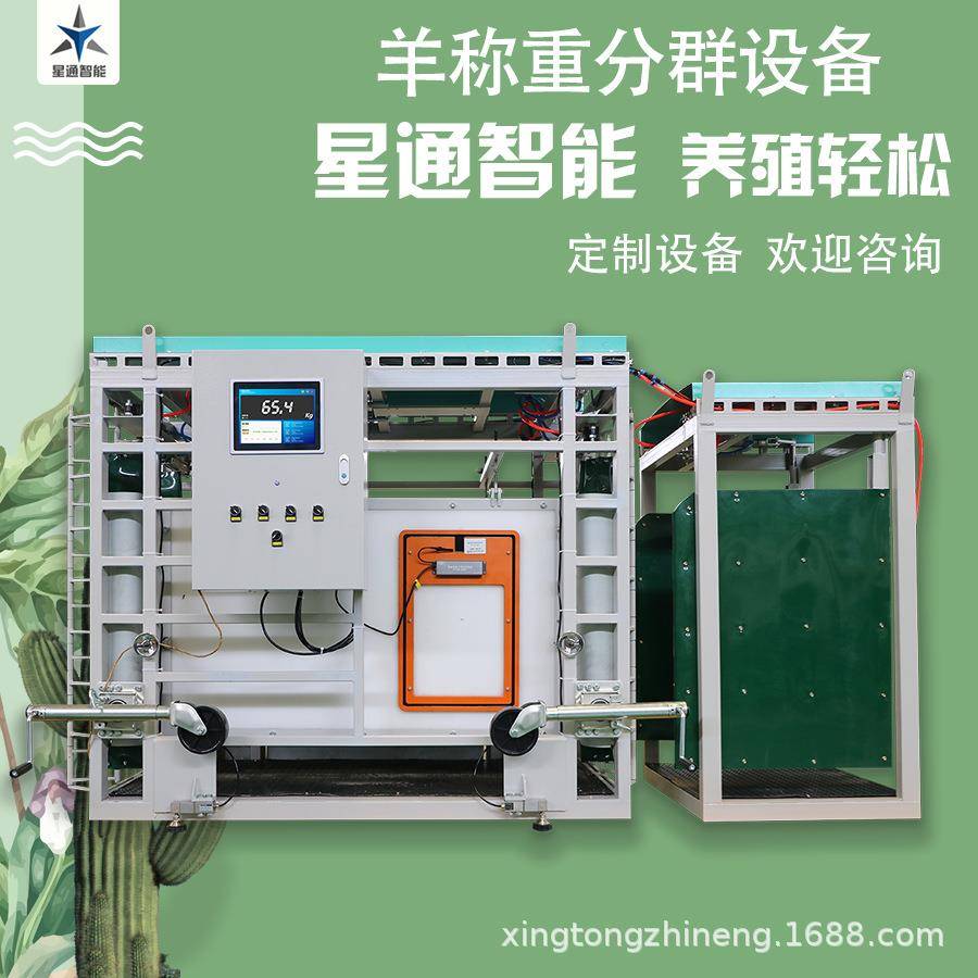 牧场智能称重分群设备高精度无接触测量耳标识别自动记录上传保存