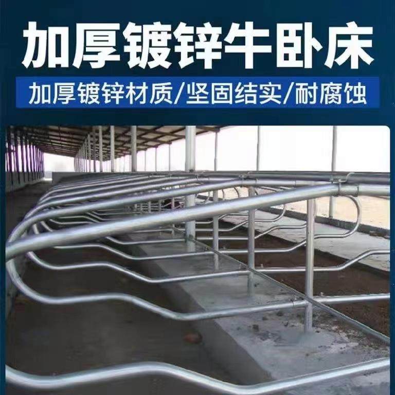厂家定制加厚热镀锌奶牛单卧双面卧床牛卧栏养牛设备牛卧床,畜牧/养殖物资,特种养殖设备,淘宝优惠券,粉丝福利购,淘宝优惠卷
