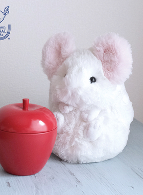 sunlemon仿真龙猫毛绒玩偶滚动娃娃儿童玩具可爱公仔生日女生礼物