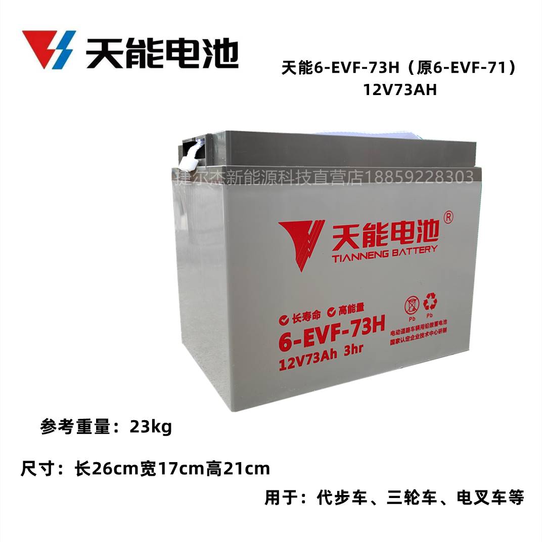 新款天能6-EVF-100电池四轮电动车洗地机电叉车12V100AH/80AH铅酸