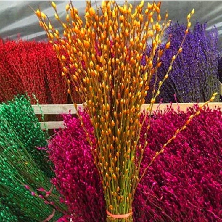 柳鲜芽花银银厘米柳切切花束柳鲜干花装饰银80银柳