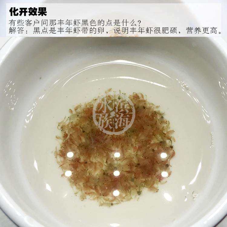 包邮岳氏旺族渤海湾冷冻 冰冻丰年虾 丰年虫孔雀鱼饲料鱼食15板
