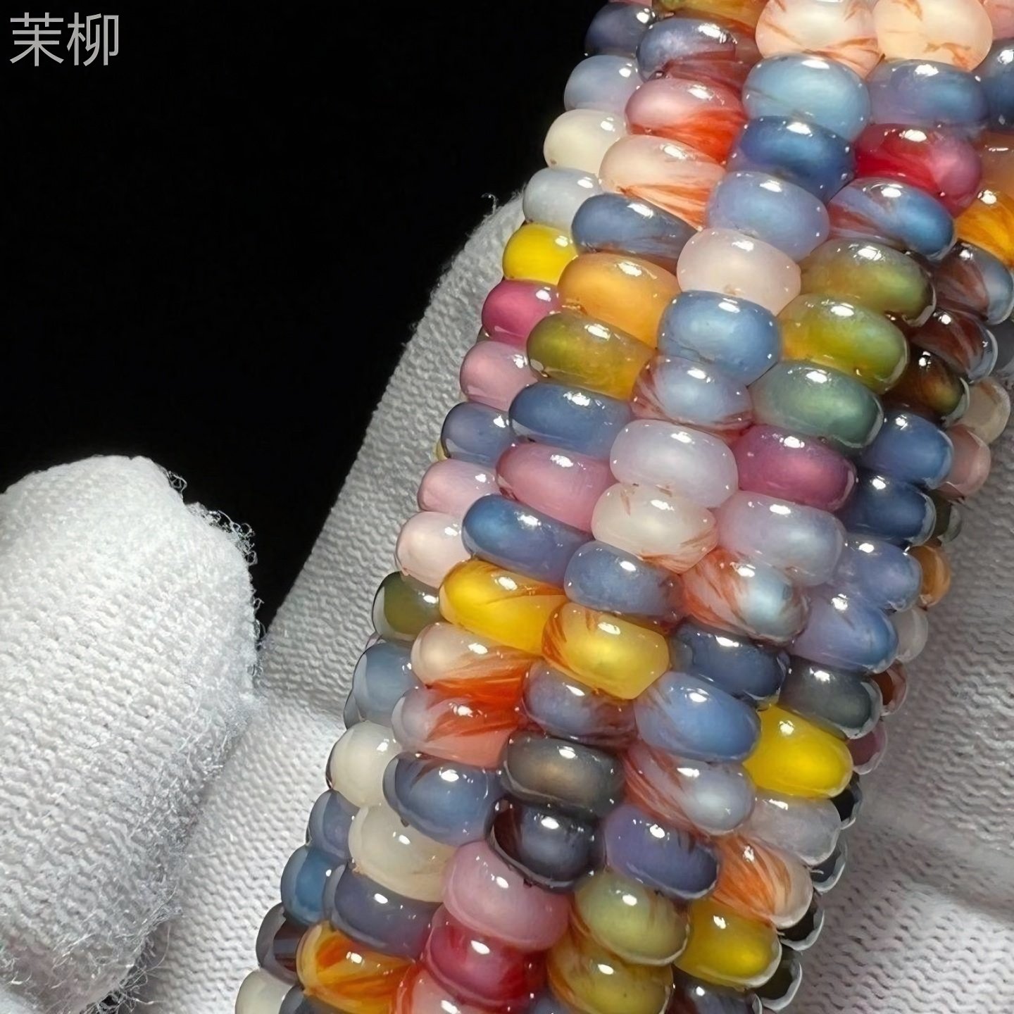 七彩琉璃玉米种子血丝玉米文图片
