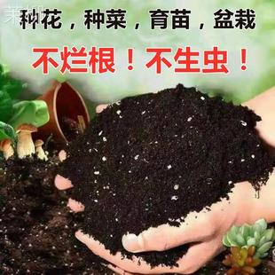 营养土通用型种菜养花专用盆栽土壤花卉种植土种花花土多肉土泥土