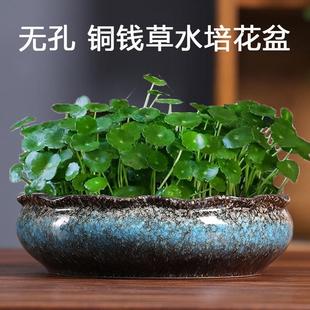 水培花盆水仙睡莲碗莲无孔金钱水养大号陶瓷铜钱草专用盆厂家直销