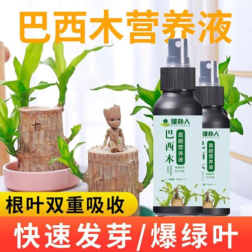 发专用巴西木营养液老桩养花料盆栽通用幸运木水养植物料