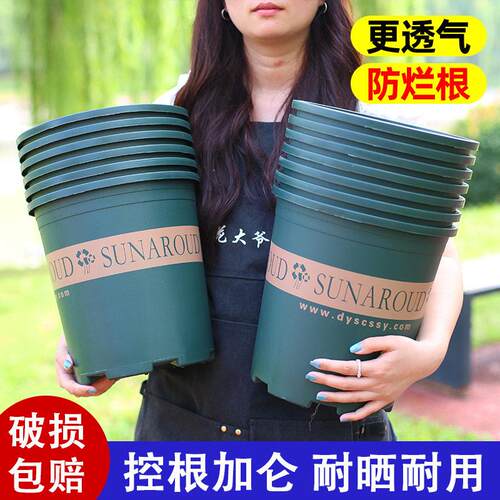 加厚塑料加仑花盆适合阳台绿萝多肉君子兰月季等盆栽使用