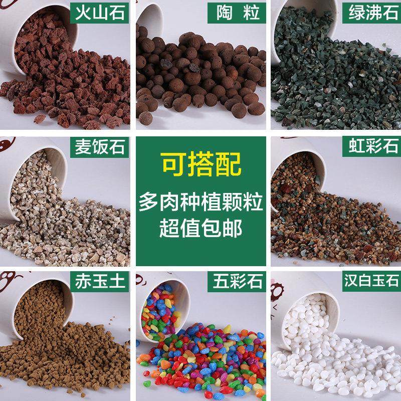 多肉植物种植铺面拌土彩石子火山绿沸麦饭石赤玉土多肉铺面石包邮,节庆用品/礼品,笔筒,淘宝优惠券,粉丝福利购,淘宝优惠卷