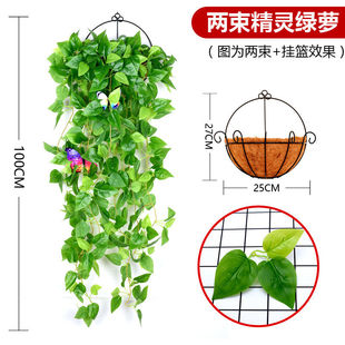 饰墙壁垂吊假花藤条塑料藤蔓 急速发货仿真绿萝壁挂花客厅绿植物装