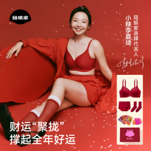菇娘家本命年红色内衣套装女马年新款大胸显小聚拢无痕结婚文胸罩