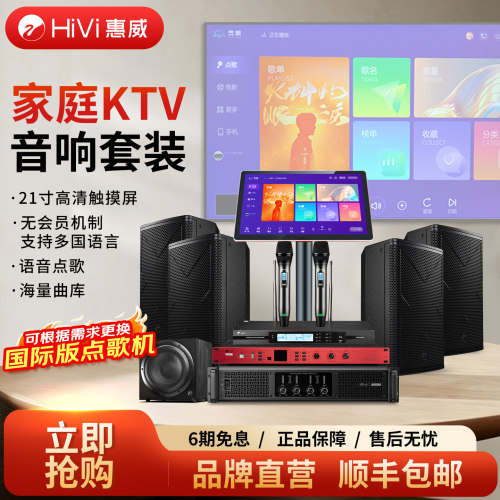 Hivi/惠威专业家庭KTV音响套装