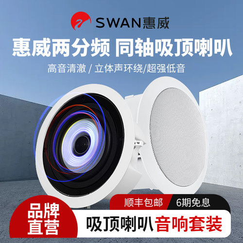 惠威带后罩定阻同轴防水吸顶喇叭