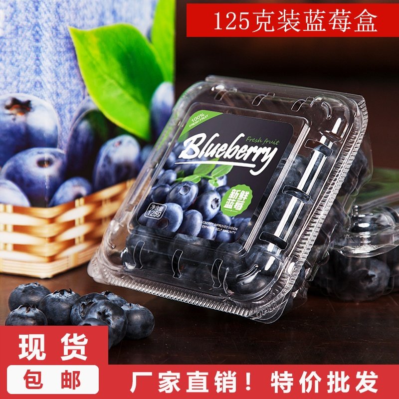 125克一次性蓝莓盒塑料透明怡颗莓包装盒礼盒水果分打包盒空盒子
