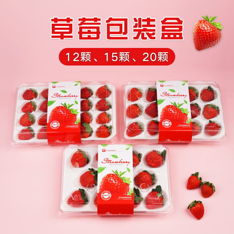 一次性草莓盒子打包盒透明包装盒