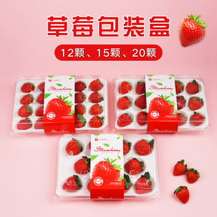 15粒草莓包装 箱 盒一次性草莓盒子透明塑料托盘快递专用打包盒包装