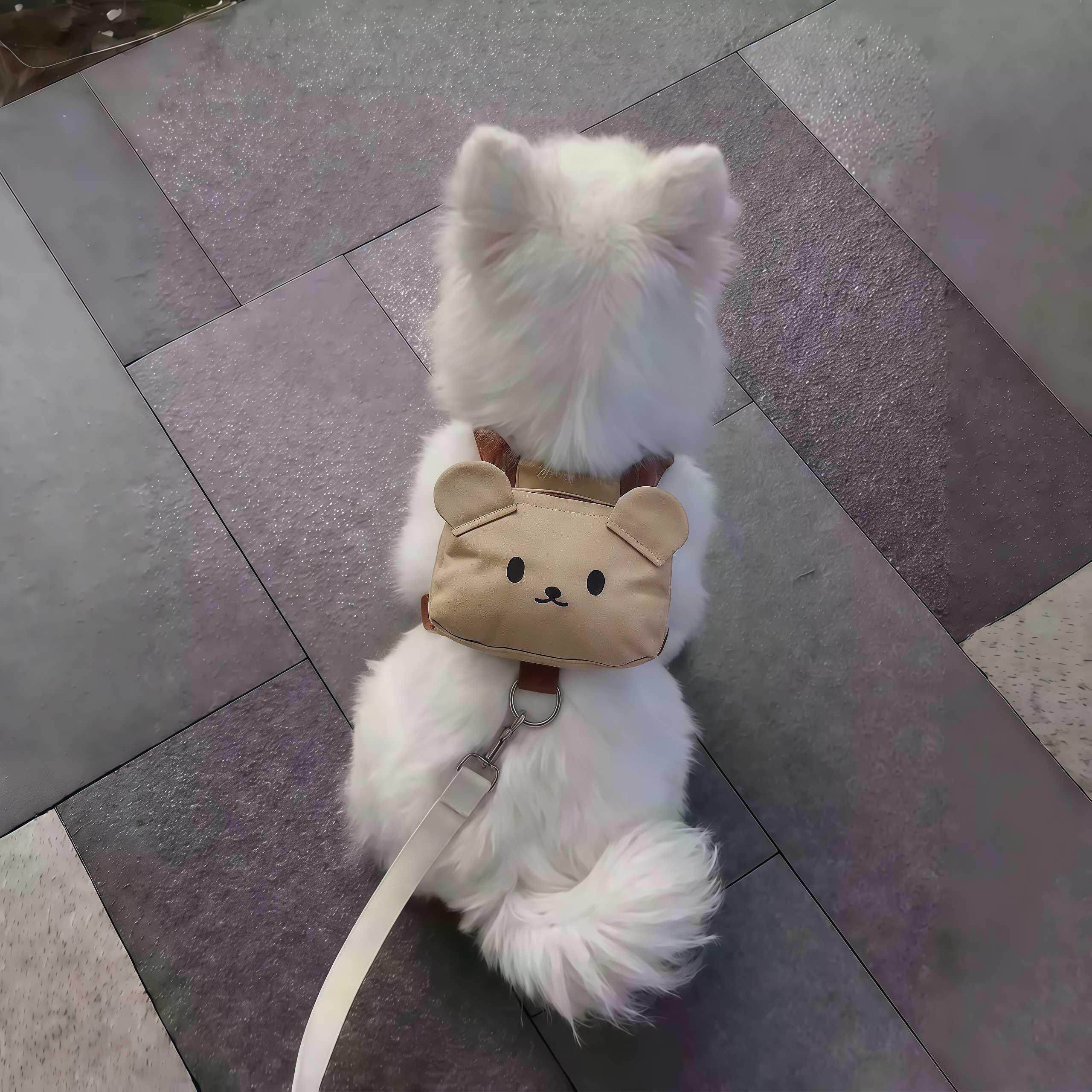 【小狗的外出背包】狗狗牵引绳中小型犬自背背包胸背双肩包遛狗绳